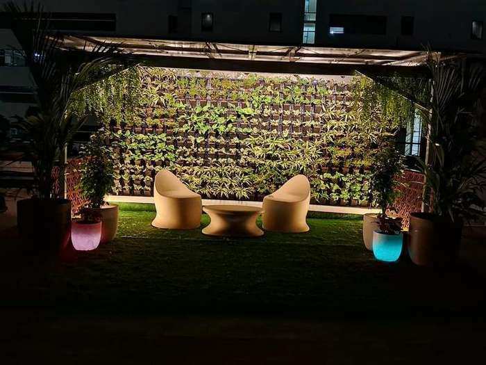 Lush Green Lawn Turf Project 5